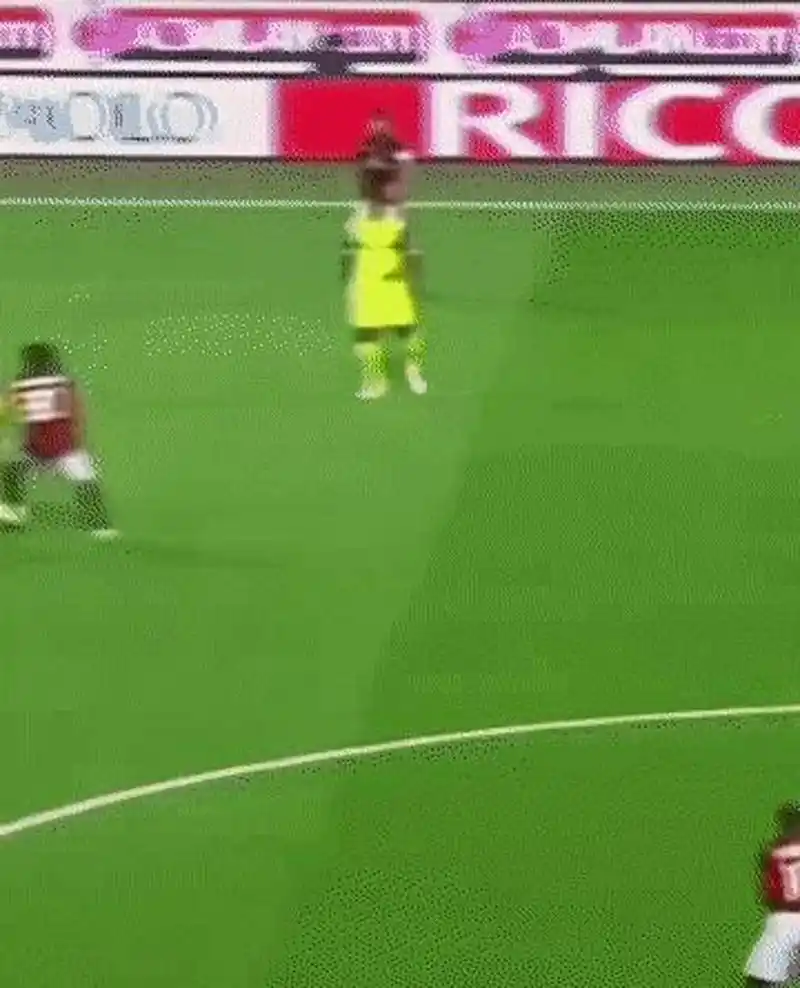 仅展示了湖 仅展示了湖